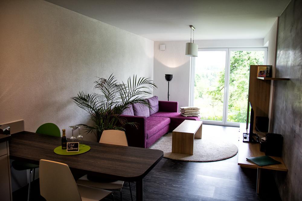 Hewen Apartments Engen Extérieur photo